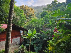 una vista su una giungla con una casa in primo piano di Cabanas El Toche a Santa Marta