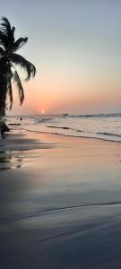 uma palmeira na praia ao pôr do sol em Hotel Palmahia Moñitos em Moñitos
