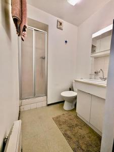 a bathroom with a shower and a toilet and a sink at Pratique, Proche Gare & Petit Prix avec Parking in Grenoble