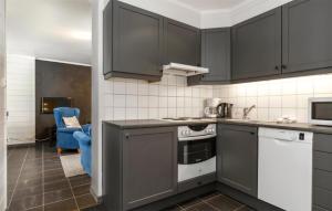 Η κουζίνα ή μικρή κουζίνα στο Pet Friendly Apartment In Hemsedal