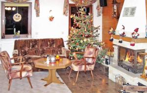 a living room with a christmas tree and a fireplace at Cozy Apartment In Altenberg With Wifi in Bärenstein