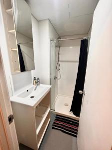 a bathroom with a sink and a shower at City room in apartment near University in Auckland