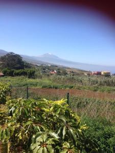 vista su un campo con recinzione e piante di Ferienhaus in La Caridad mit Terrasse, Grill und Whirlpool a Adelantado