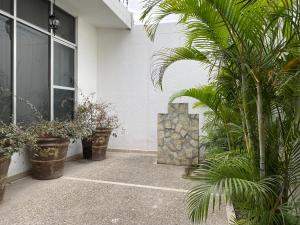 une terrasse couverte avec des plantes en pot devant un bâtiment dans l'établissement Casa Valle Alto, à Ciudad Valles