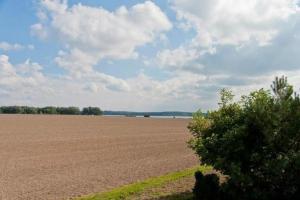 un gran campo con un gran campo de cultivos en Ferienwohnung für 4 Personen ca 70 qm in Krummin, Ostseeküste Deutschland Usedom, en Krummin