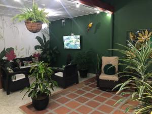 um quarto com cadeiras e vasos de plantas na parede em OLIVA´S HOUSE em Jardin