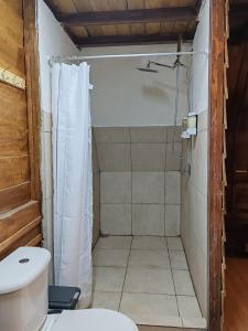 Chalets Vistas del Poas في هيريديا: حمام مع دش ومرحاض