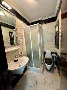 a bathroom with a sink and a shower and a toilet at Porto elsokhna pyramids VIP in ‘Atāqah
