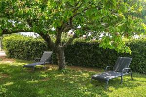 Um jardim em Ferienwohnung für 4 Personen ca 40 qm in Medulin, Istrien Südküste von Istrien - b55027