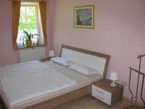 Tempat tidur dalam kamar di Ferienwohnung für 4 Personen ca 37 qm in Sayda, Sachsen Osterzgebirge