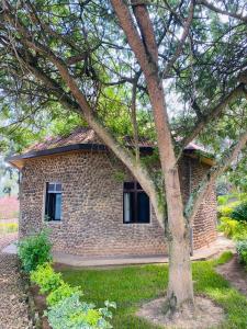 ein Backsteinhaus mit einem Baum davor in der Unterkunft Ruhondo Beach Resort in Ruhengeri + 24 Fotos