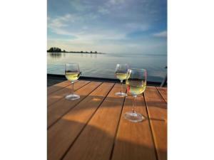 drie wijnglazen zittend op een houten tafel bij het water bij Sonnenplätzchen in Enkhuizen