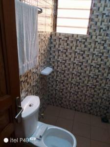 uma casa de banho com um WC e um lavatório em Oluwa-Sheyi Apartment in Ketou em Kétou
