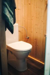łazienka z toaletą i zielonym ręcznikiem w obiekcie Včelín Müslivna w mieście Jablonné v Podještědí