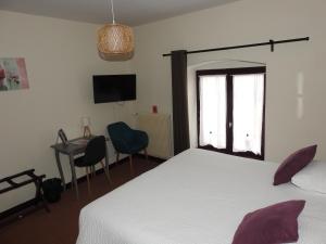 a bedroom with a bed and a desk and a television at Le Barriol in Saint-Julien-Chapteuil