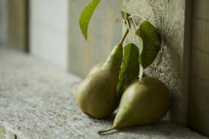Fotografija u galeriji objekta Pear Tree Inn Whitley u gradu Whitley