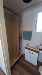 a bathroom with a shower and a sink and a shower curtain at 135 On Seaview Parpaparaumu Beach in Paraparaumu