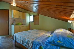 een slaapkamer met een bed en een houten plafond bij Ferienwohnung für 2 Personen ca 17 qm in Pula-Fondole, Istrien Istrische Riviera in Štinjan