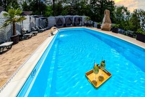 VALEA MAGURII في نوفاسي-سترايني: حمام سباحة في فندق به ماء أزرق وكراسي