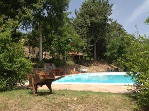 una panchina accanto alla piscina in un cortile di Ferienhaus mit Privatpool für 6 Personen ca 400 qm in Morra, Trasimenischer See a Città di Castello