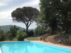 einen Pool mit Bergblick in der Unterkunft Ferienhaus mit Privatpool für 6 Personen ca 400 m in Morra, Trasimenischer See in Città di Castello
