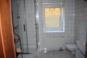 baño con ducha y aseo y ventana en Ferienwohnung für 4 Personen ca 50 qm in Kirnitzschtal, Sachsen Sächsische Schweiz en Sebnitz