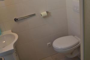 ein Bad mit einem WC und einem Waschbecken in der Unterkunft Studio für 5 Personen ca 60 qm in Tribunj, Dalmatien Norddalmatien in Tribunj