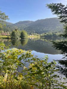 vistas a un lago con árboles y montañas en Au Plaisir Vosgien, en Raon-lʼÉtape