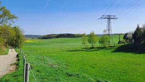 um campo de relva verde com um poste de energia em Ferienhaus „Zum alten Fröhlich“ em Dresden