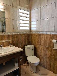 ein Bad mit einem WC, einem Waschbecken und einem Fenster in der Unterkunft LE BIGARADIER in Sainte-Rose