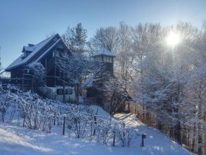 ein schneebedecktes Haus mit Bäumen und einem Zaun in der Unterkunft De Höller - Dakappartement met Toren 