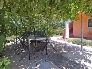 eine Gruppe von Stühlen unter einem Baum in der Unterkunft Studio für 3 Personen ca 36 qm in Pula-Fondole, Istrien Istrische Riviera in Valbandon