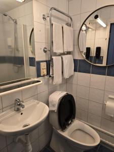 a bathroom with a toilet and a sink and a mirror at Nature Shelter Hotel in Åsljunga