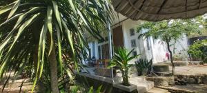 a house with a palm tree in front of it at Villa Bamboo Sumbawa in Sumbawa Besar
