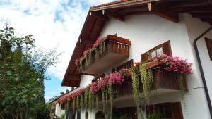 Budova, kde se hotel nachází + 23 fotografií