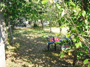 una mesa y una silla en un parque bajo los árboles en Ferienwohnung für 8 Personen ca 100 qm in Pula, Istrien Istrische Riviera, en Pula