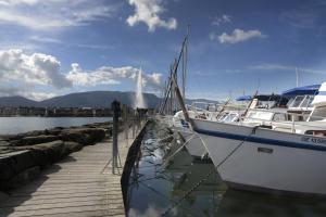 two boats are docked at a dock in the water at The Ambassador in Geneva