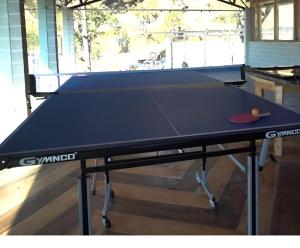 Table tennis facilities sa Hamilton palace o sa malapit