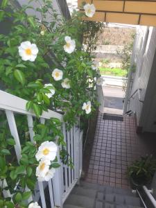 una escalera con flores blancas en una valla blanca en Exit8 Like hostel nedoko en Nagasaki