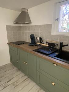 a kitchen with green cabinets and a sink and a window at L’Oliveraie du Revest in Le Revest-le-Eaux