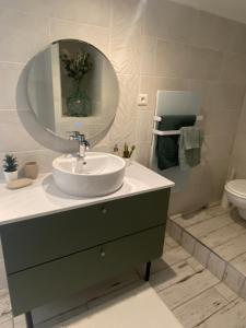 ein Badezimmer mit einem Waschbecken, einem Spiegel und einem WC in der Unterkunft L’Oliveraie du Revest in Le Revest-le-Eaux