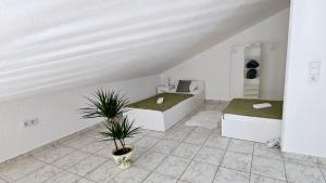 a white room with two beds with plants in it at Kadenca in Umag
