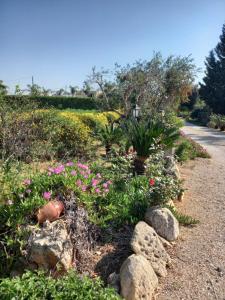 A garden outside Curti Russi