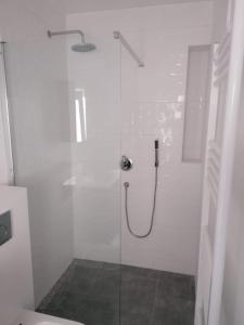 a bathroom with a shower with a glass door at Stay in maison de metre in Etterbeek in Brussels
