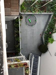布魯塞爾的住宿－Stay in maison de metre in Etterbeek，享有一座建筑中种有植物的庭院的顶部景色