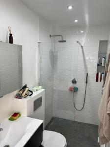 a bathroom with a shower and a toilet and a sink at Stay in maison de metre in Etterbeek in Brussels