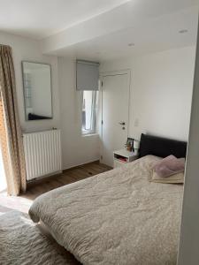 a bedroom with a large bed and a window at Stay in maison de metre in Etterbeek in Brussels