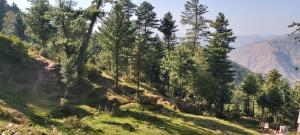 a hillside with trees and mountains in the background at Sajid Apartment Murree in Murree