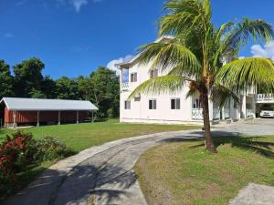 a palm tree in front of a white house at You 4 Ric Apartment 2: Fully-furnished 2-bedroom in Choiseul