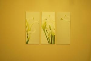 drie foto's van witte bloemen op een gele muur bij Ferienwohnung für 2 Personen ca 42 qm in Baden-Baden, Schwarzwald Ortenau in Baden-Baden